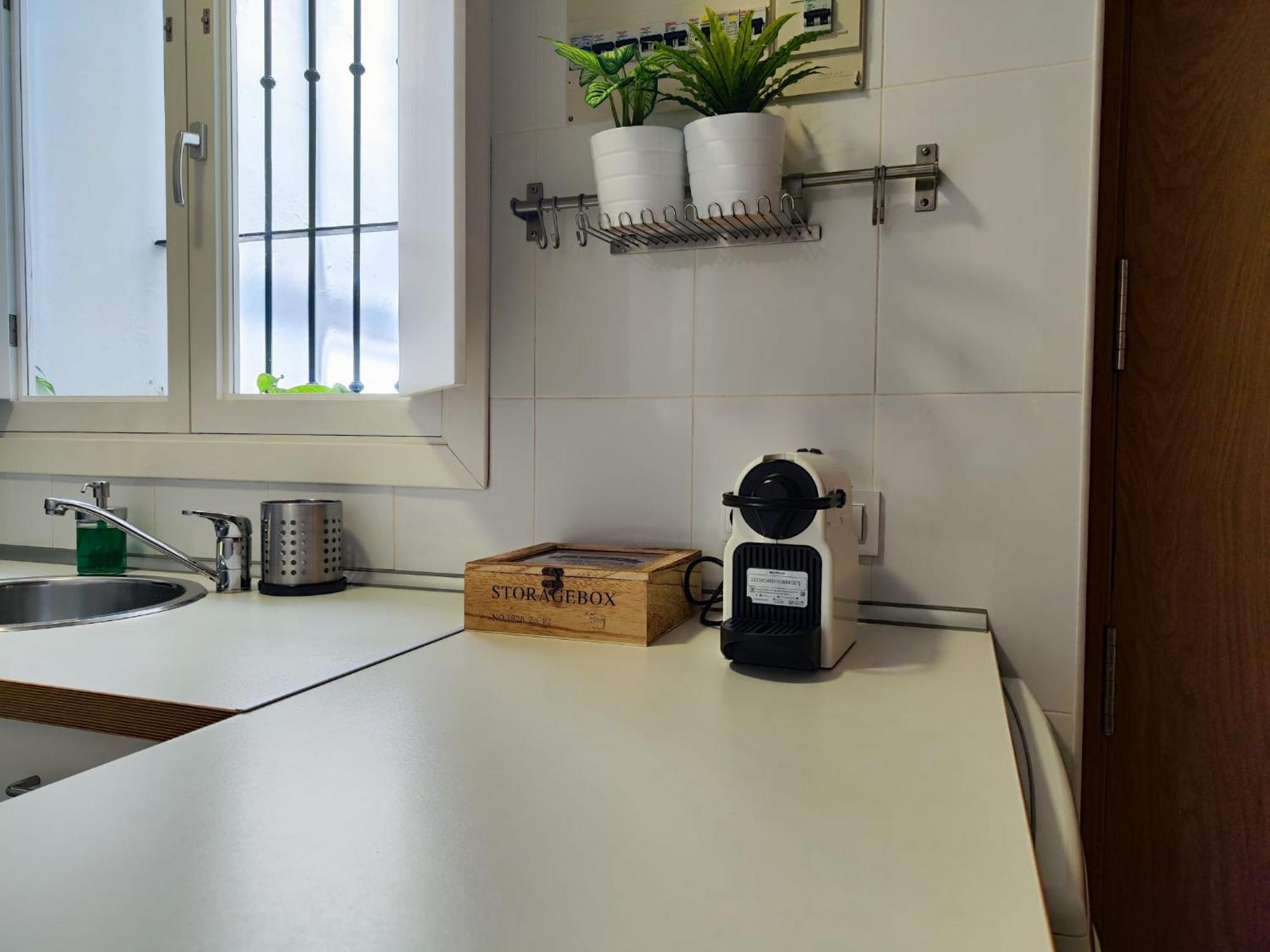 Suite Del Mercado Little Apartments Cádiz Eksteriør billede